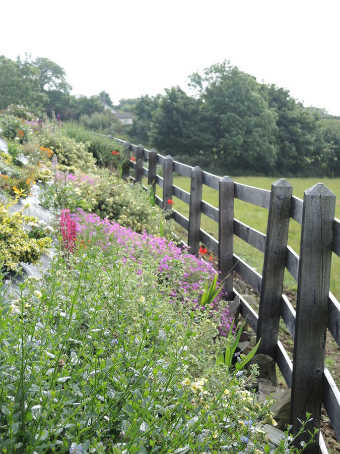 On The Rocks B&B Greencastle  Extérieur photo